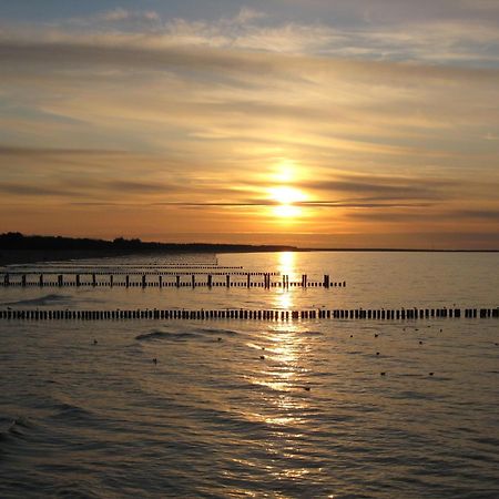 Wohnung 9 Meer-Ruhe Im Haus Stranddistel Komfortable Ferienwohnung Im 1 Og Fuer 4 Personen In Zingst Esterno foto